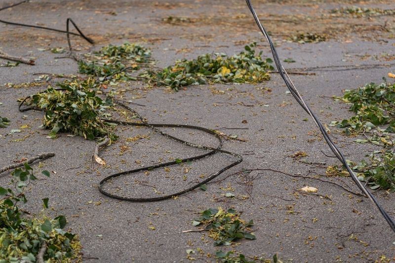 Downed Powerlines